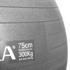 amila-gymball-75cm-γκρι-bulk
