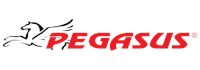 Лого на Pegasus