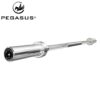 Олимпийски лост Pegasus 150 см Φ50 (13 кг) — Dias Sport